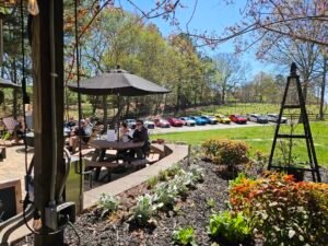 659466222 1855553868480740 1693259583351311006 n